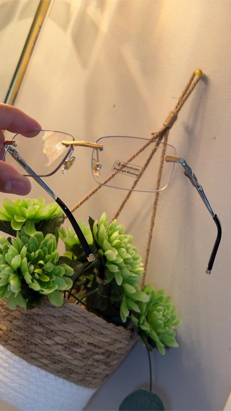 Cartier Rimless Photochromic Glasses