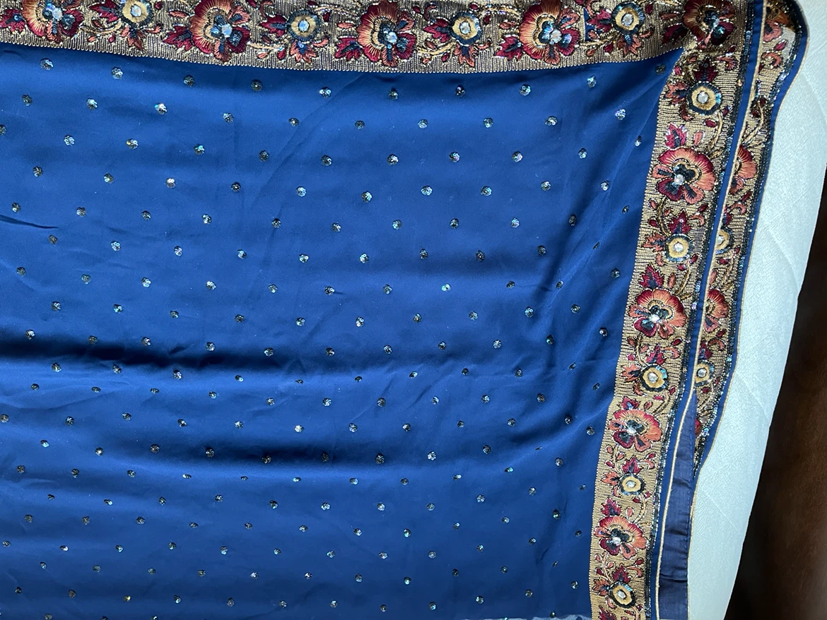 Blue Saree with Floral Embroidery