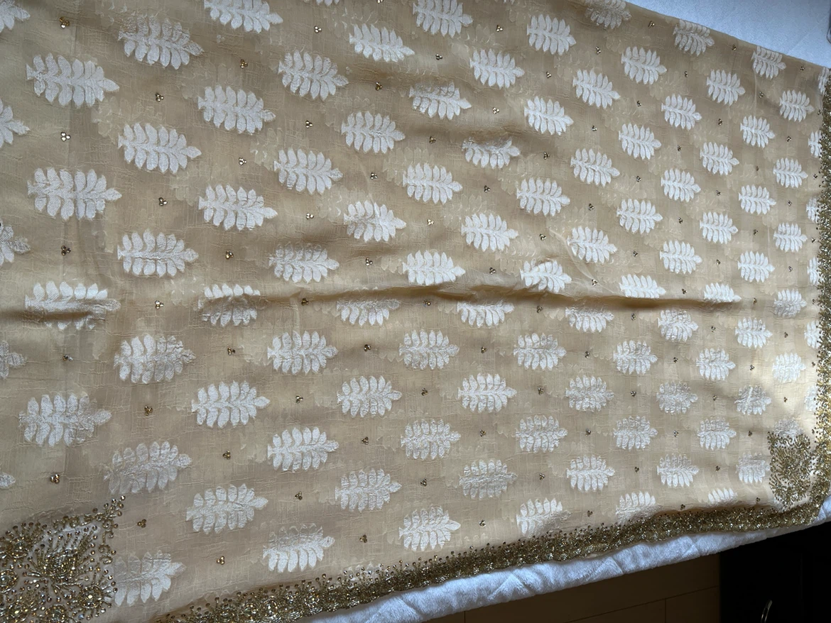 Beige and Gold Embroidered Saree with Blouse - photo 2