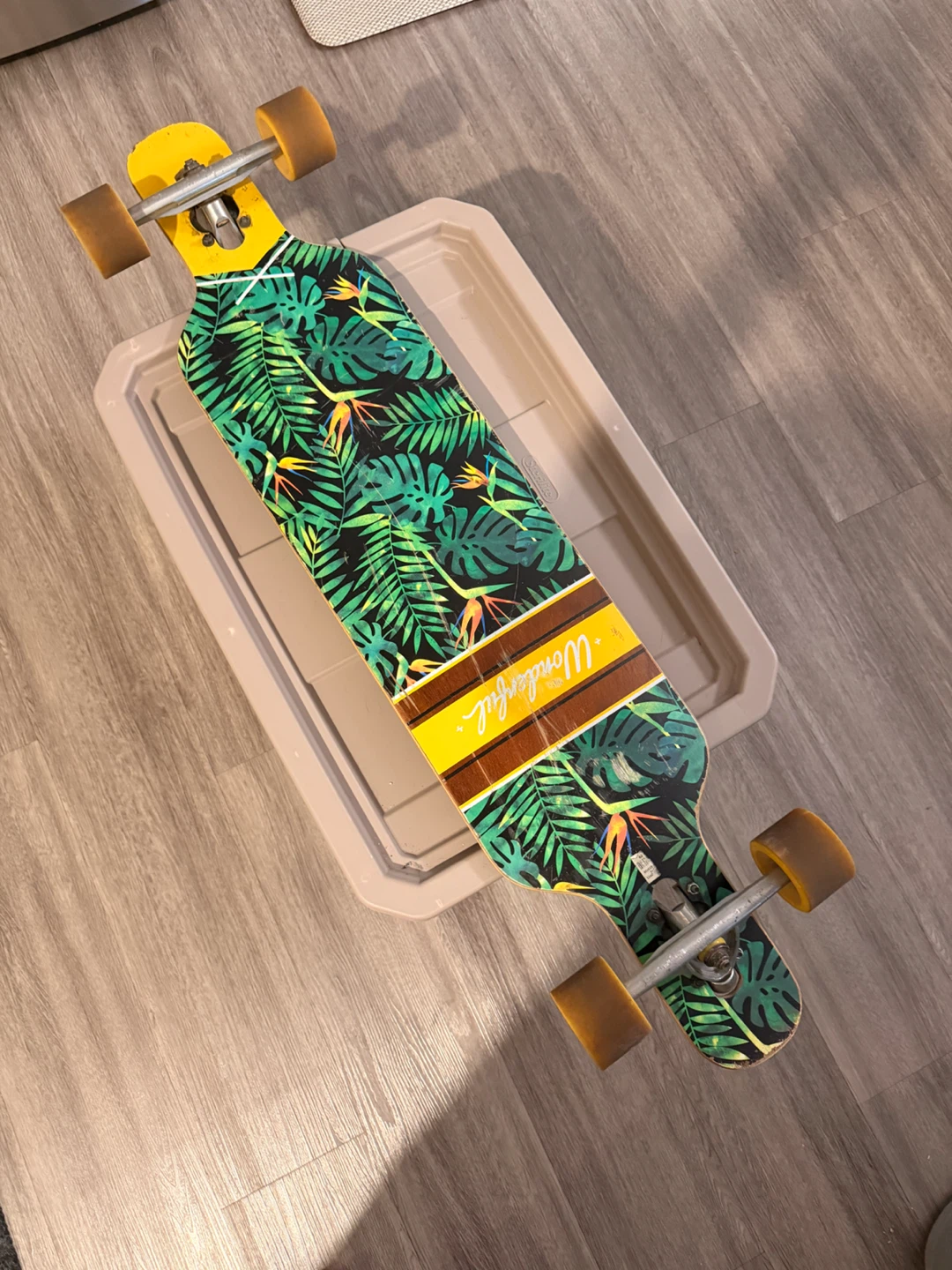 Longboard - photo 2