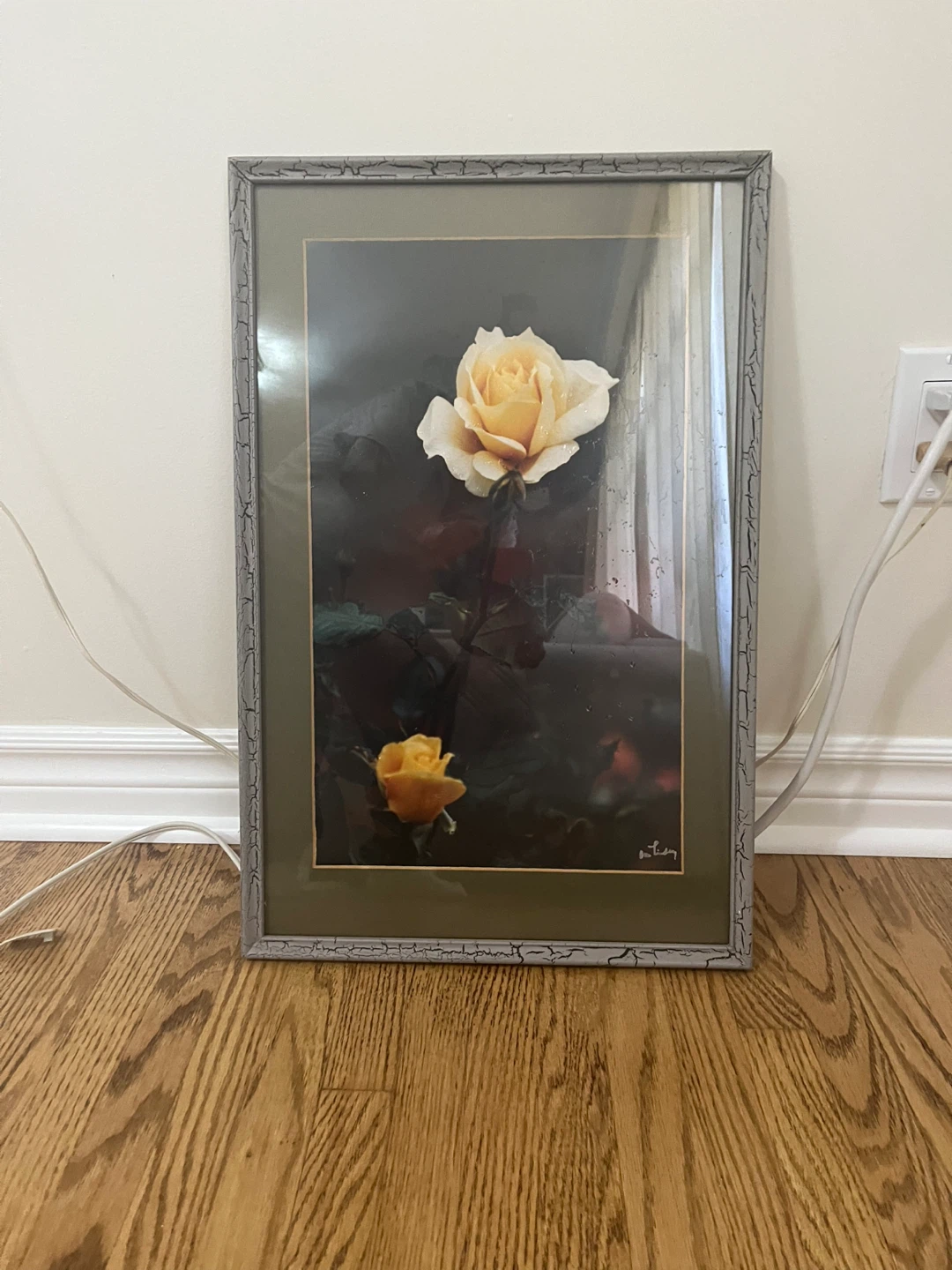 Framed Rose Print