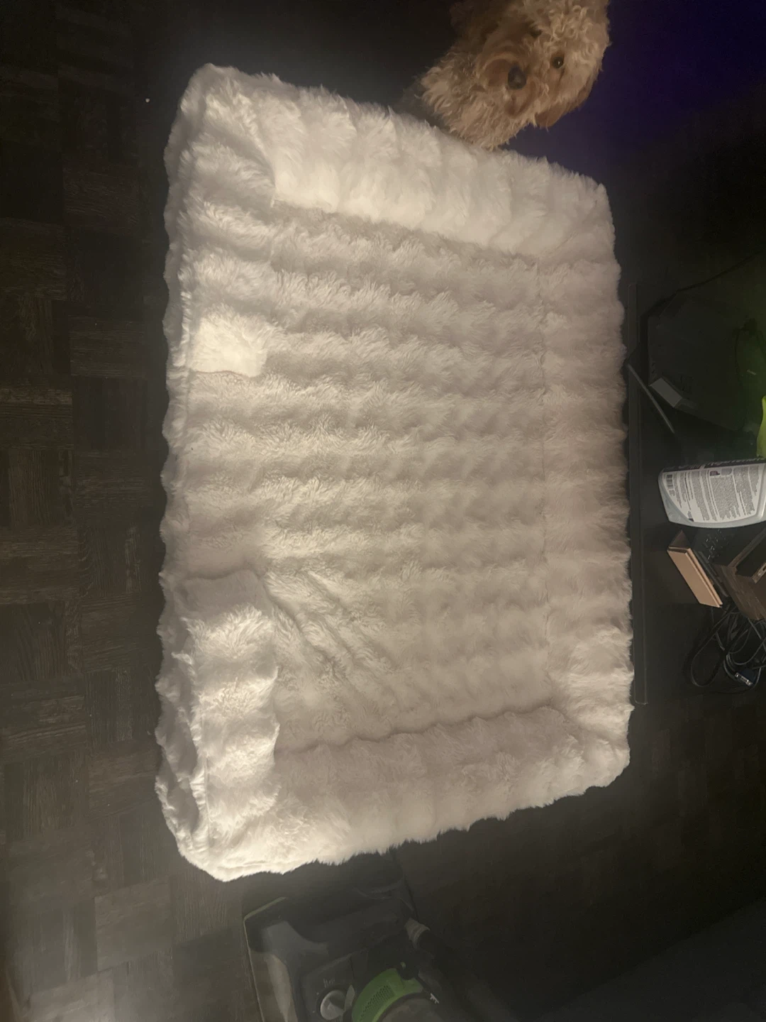Big dog bed