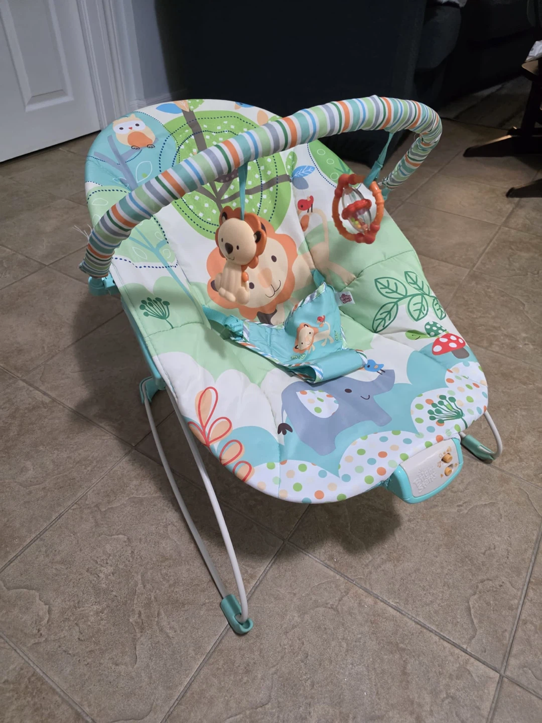 Bright Starts baby bouncer