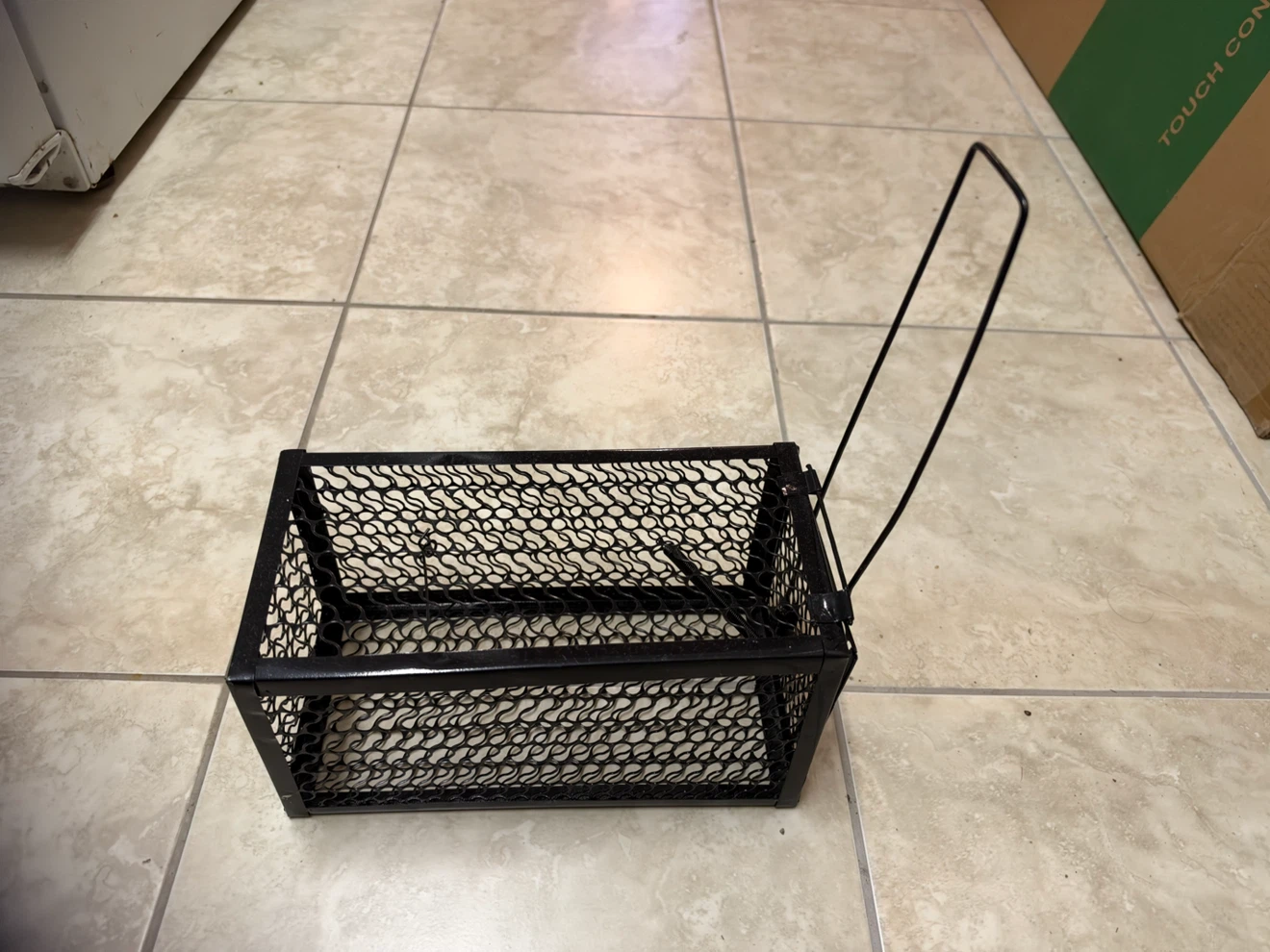 Black Wire Live Animal Trap