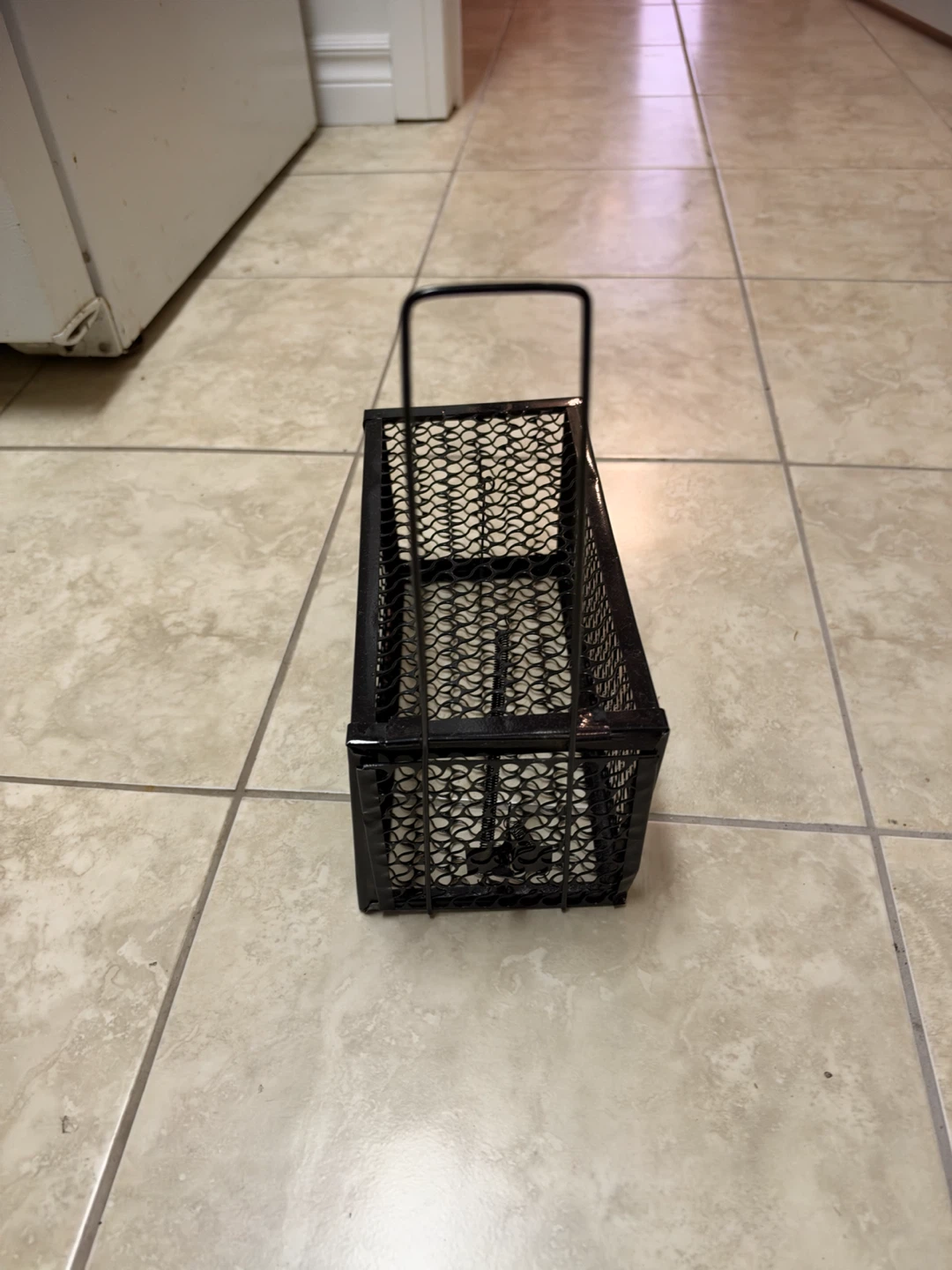 Black Wire Live Animal Trap - photo 2