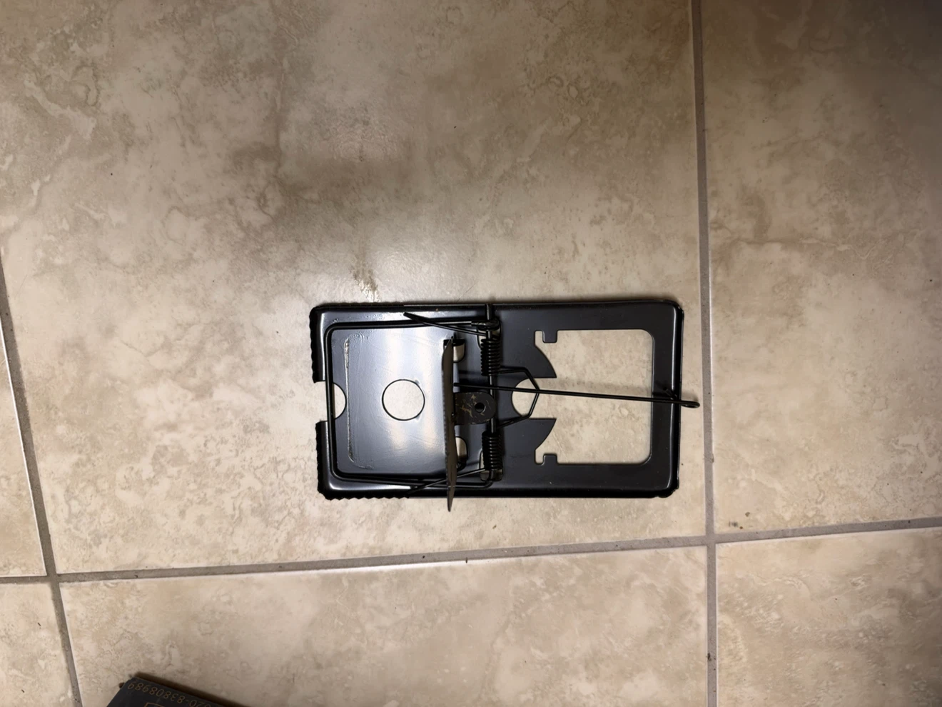 Metal mouse trap
