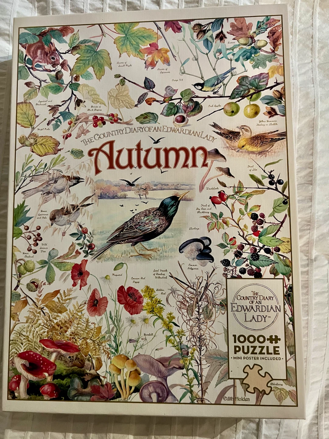 Selection of 1000-piece jigsaw puzzles