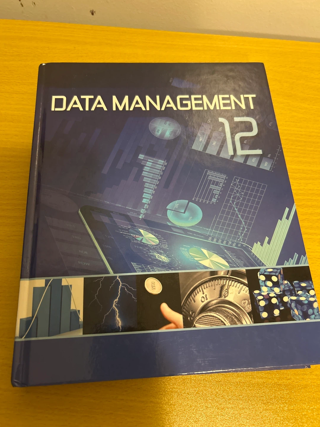 Data Management 12 Textbook