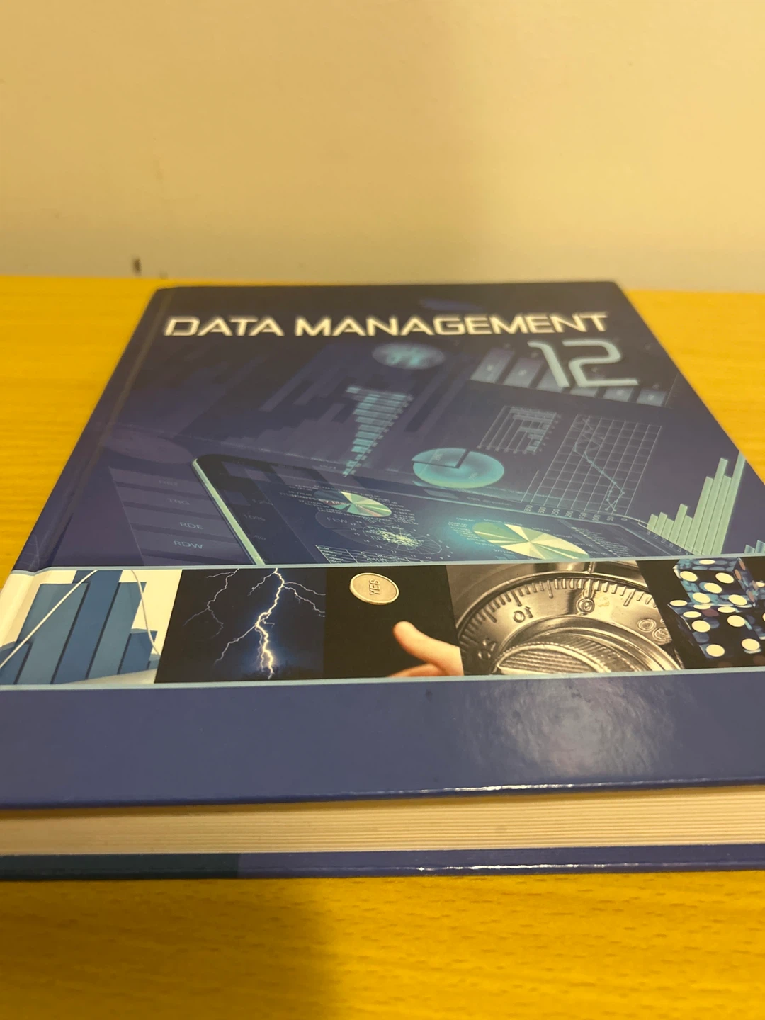 Data Management 12 Textbook - photo 2
