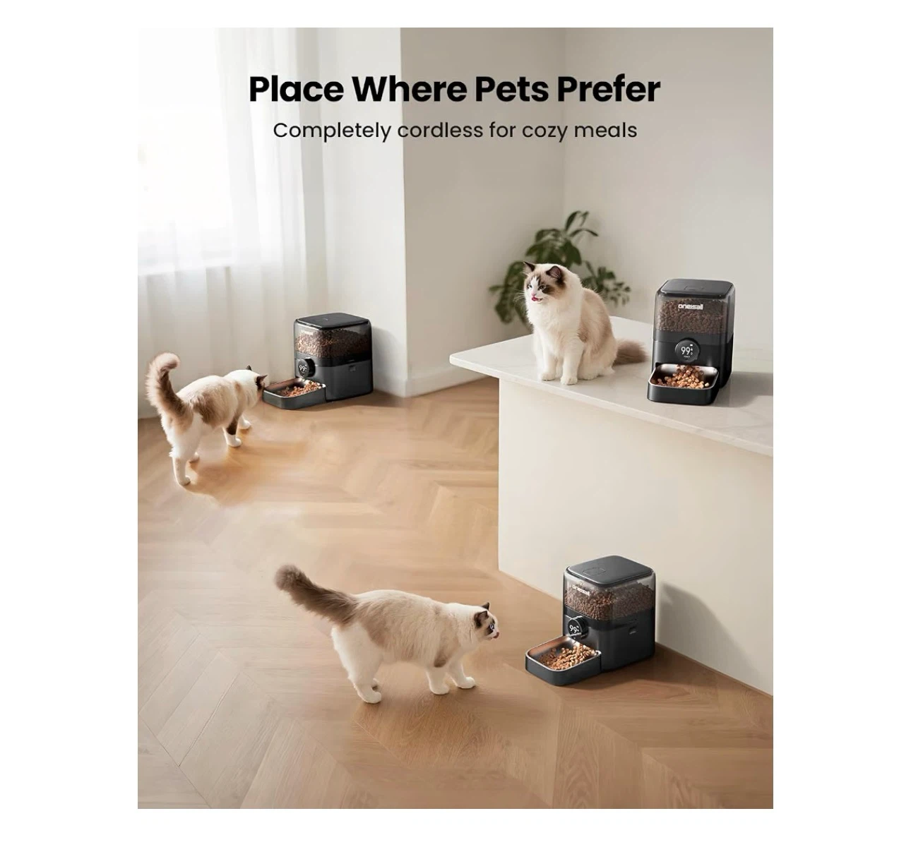 New Oneisall Cordless Cat Feeder with WiFi - photo 4
