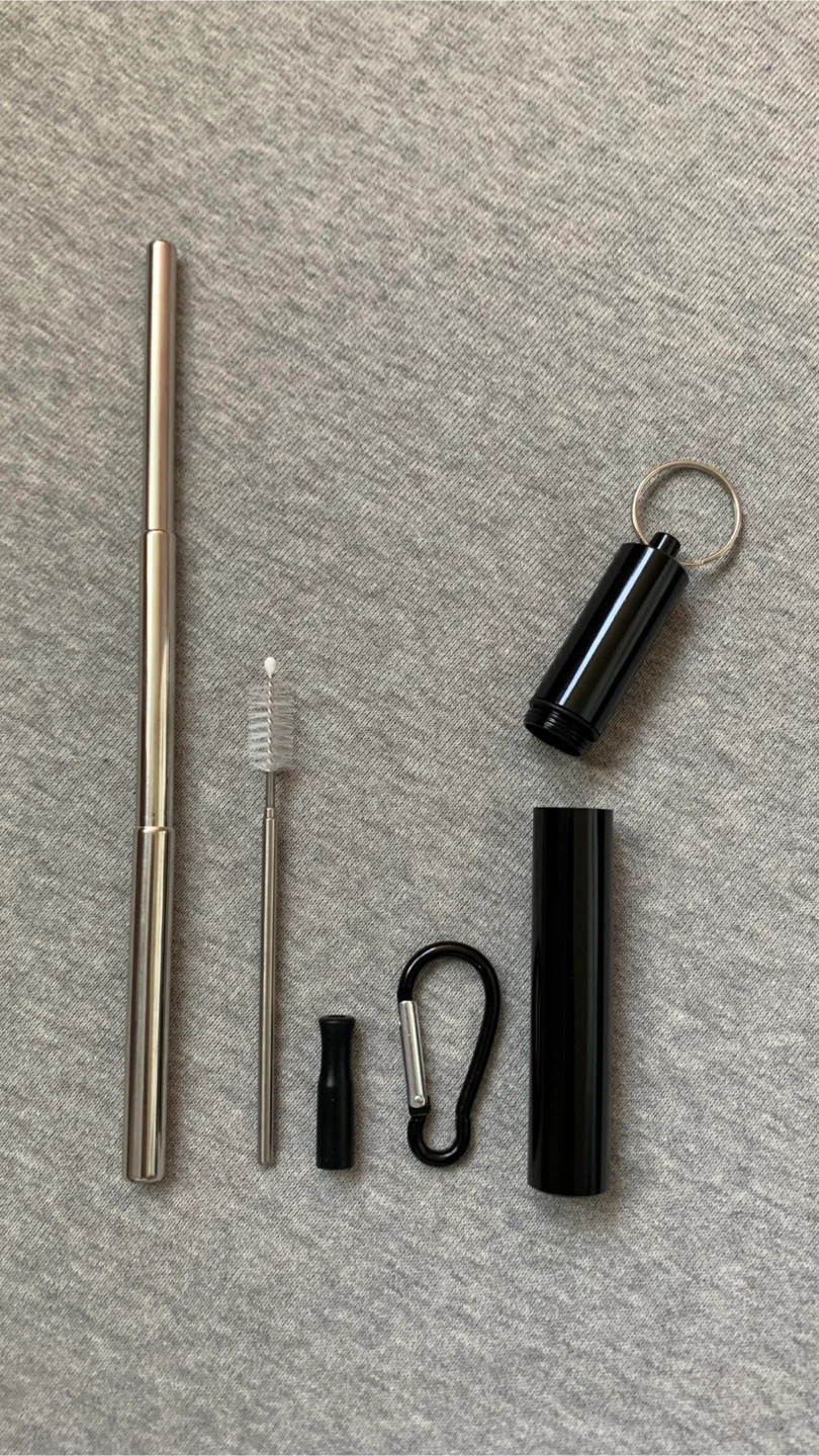 Collapsible Stainless Steel Straws (2 Available)