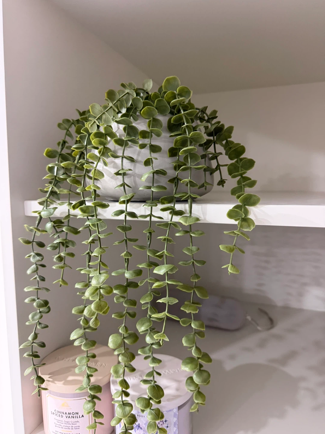 Artificial trailing plant in grey pot