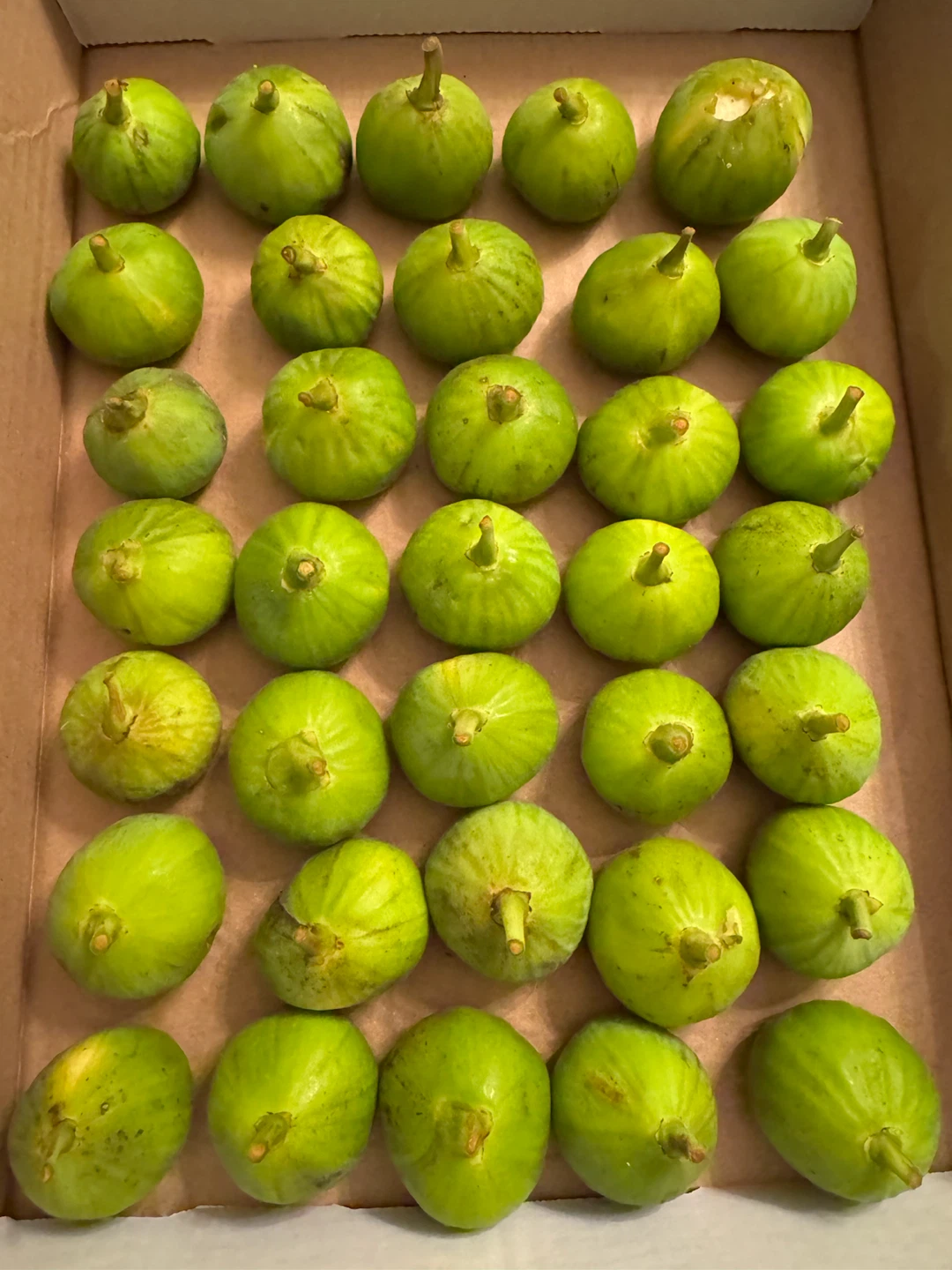 35 Fresh & Sweet Honey Figs