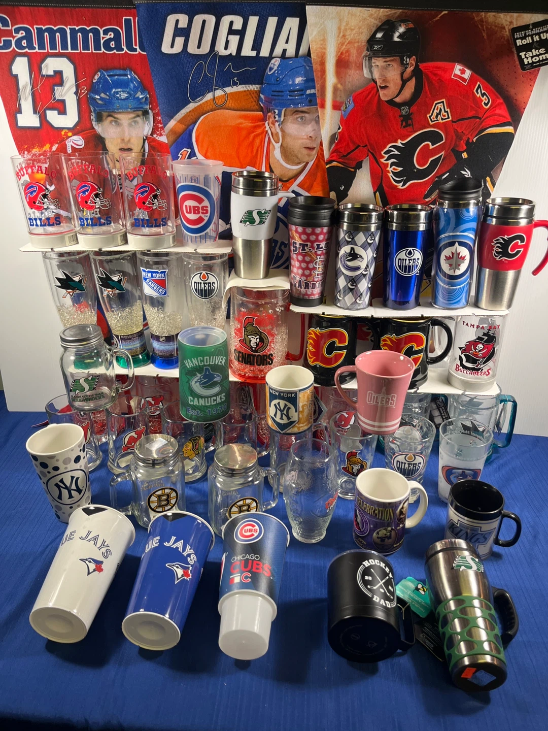 HUGE Sports Fan Drinkware Sale! ⚡️ NHL, MLB, NFL & CFL