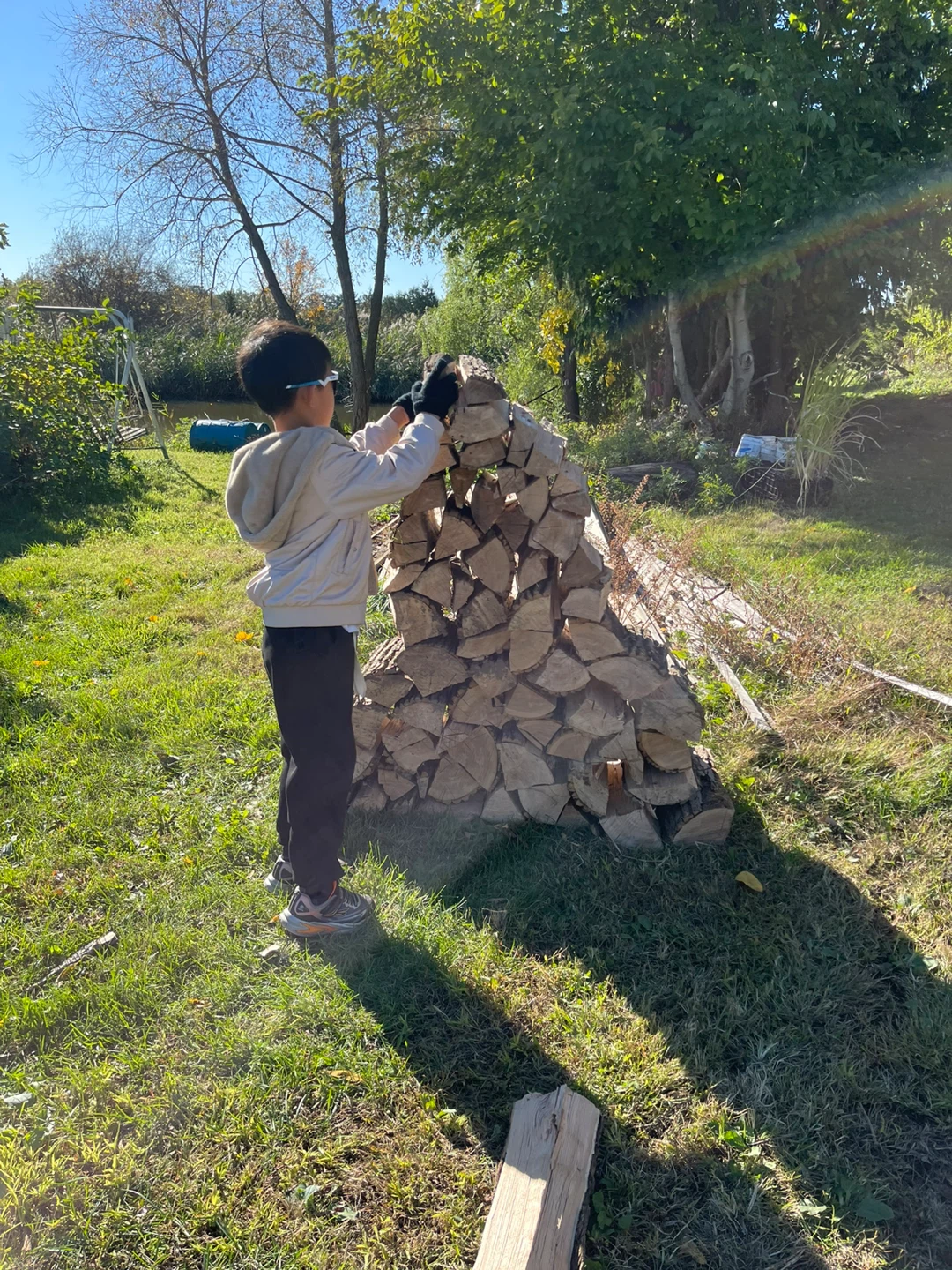 Split firewood