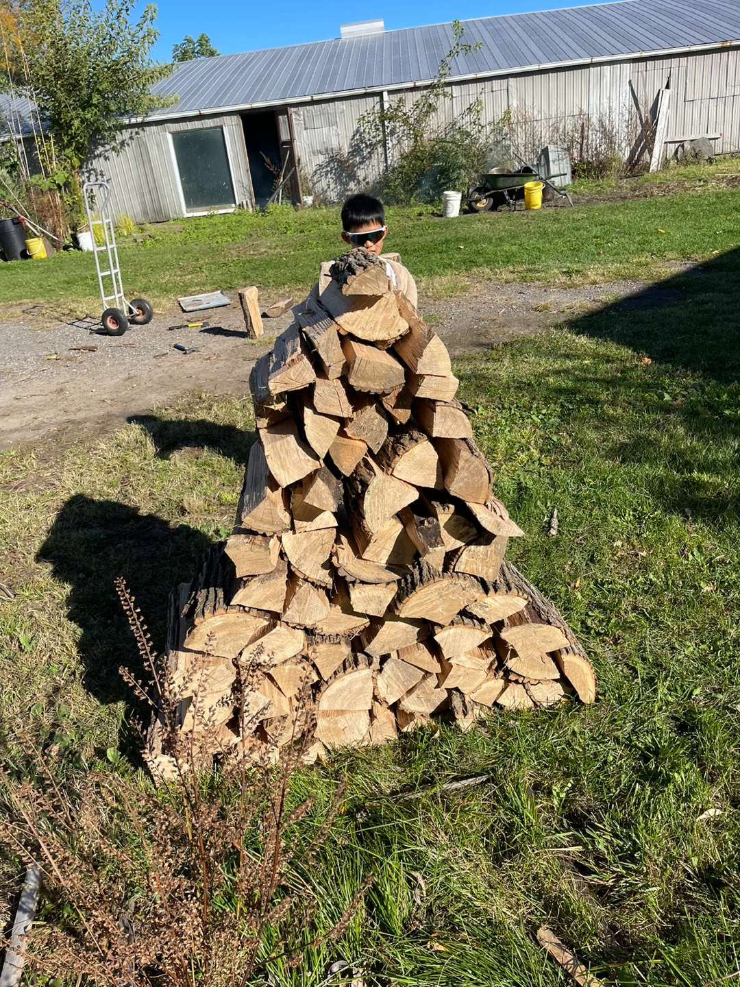 Split firewood - photo 2