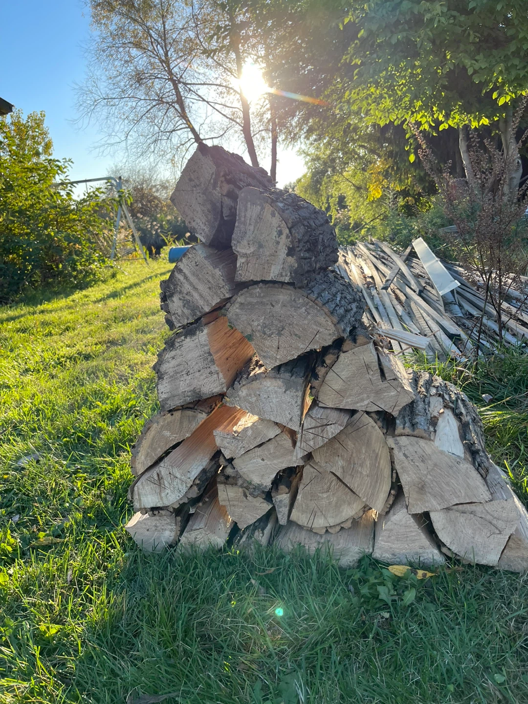 Split firewood - photo 3