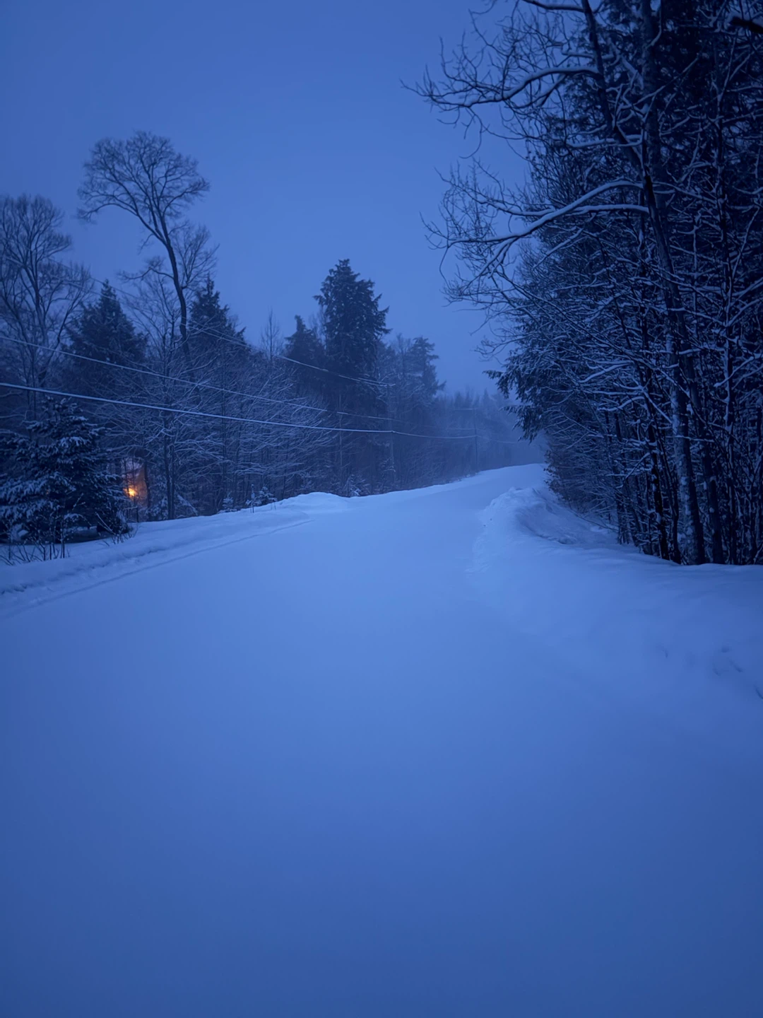 Business Snowblowing/shoveling