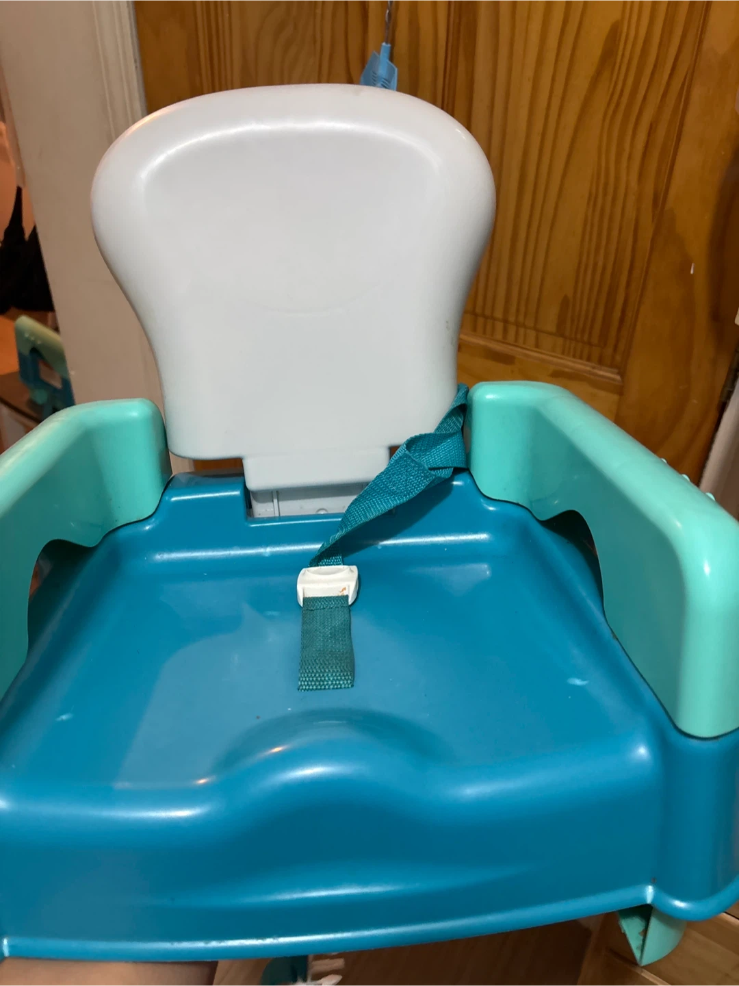 Fisher-Price Portable Baby Booster Seat