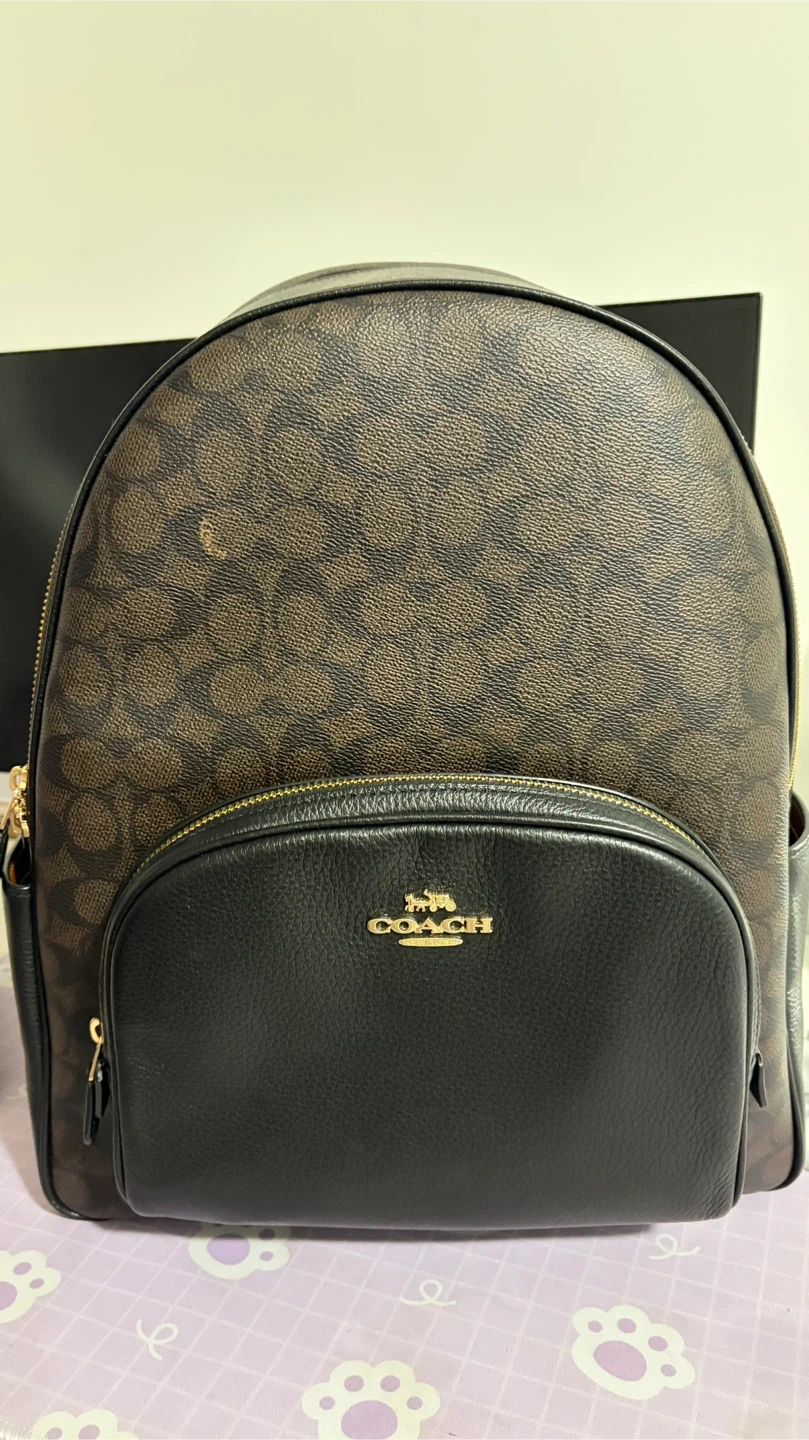 Coach Court Backpack (Large)