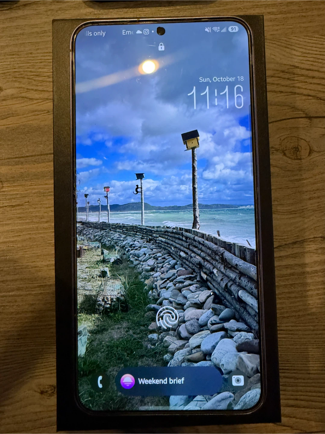 Samsung Galaxy S24+ with Cases and Screen Protector - photo 3