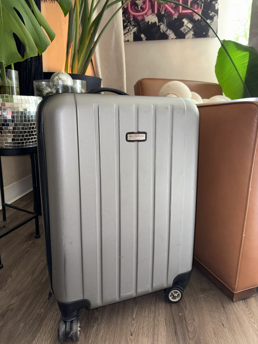 Ricardo Beverly Hills Silver Carry-On Luggage