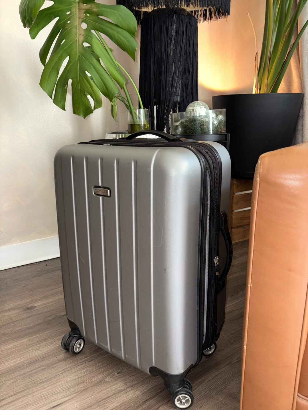 Ricardo Beverly Hills Silver Carry-On Luggage - photo 2