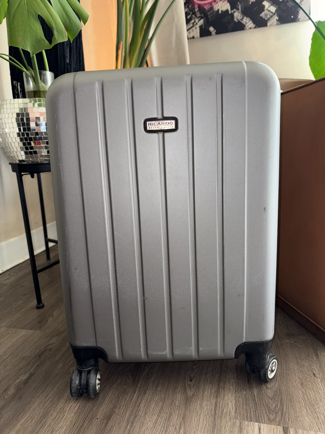 Ricardo Beverly Hills Silver Carry-On Luggage - photo 3