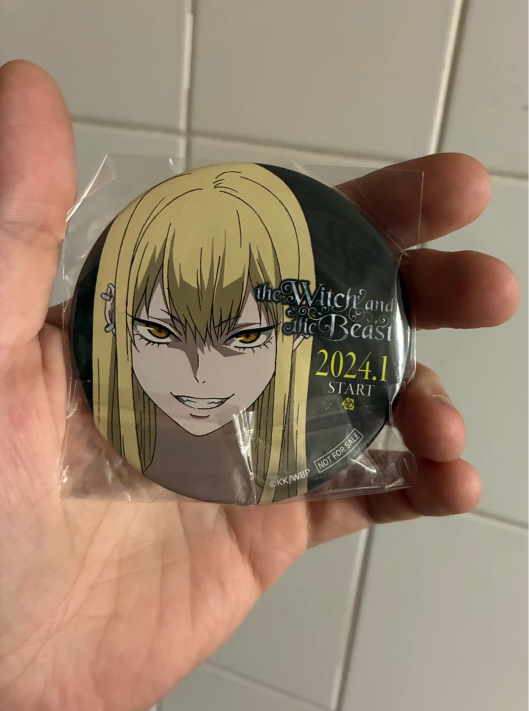 The Witch and the Beast Button Pin