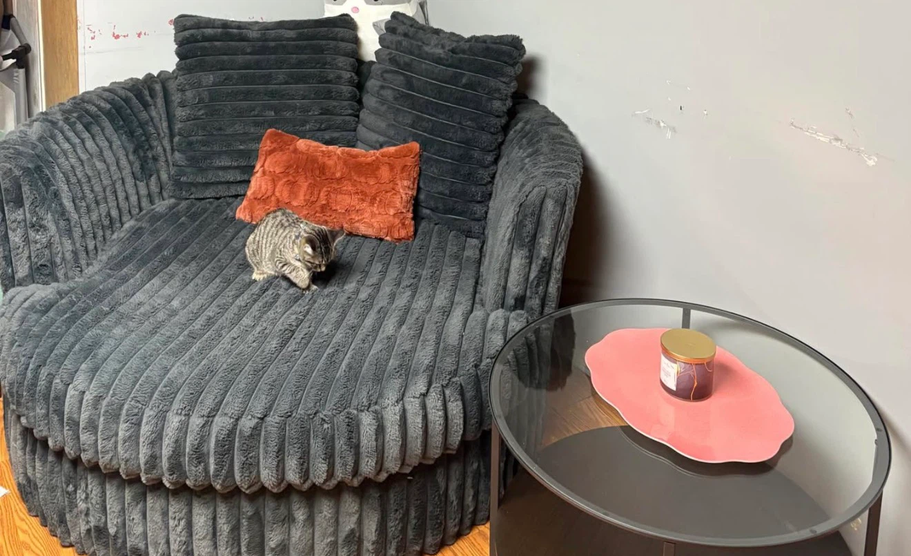 Dark Grey Cuddle Chair + Coffee table