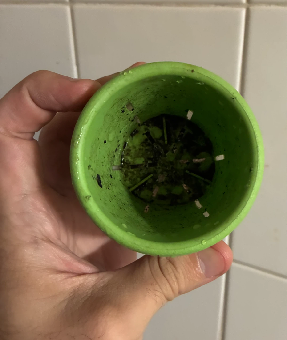 Ugarden Japanese Mini Plant Pot - photo 2