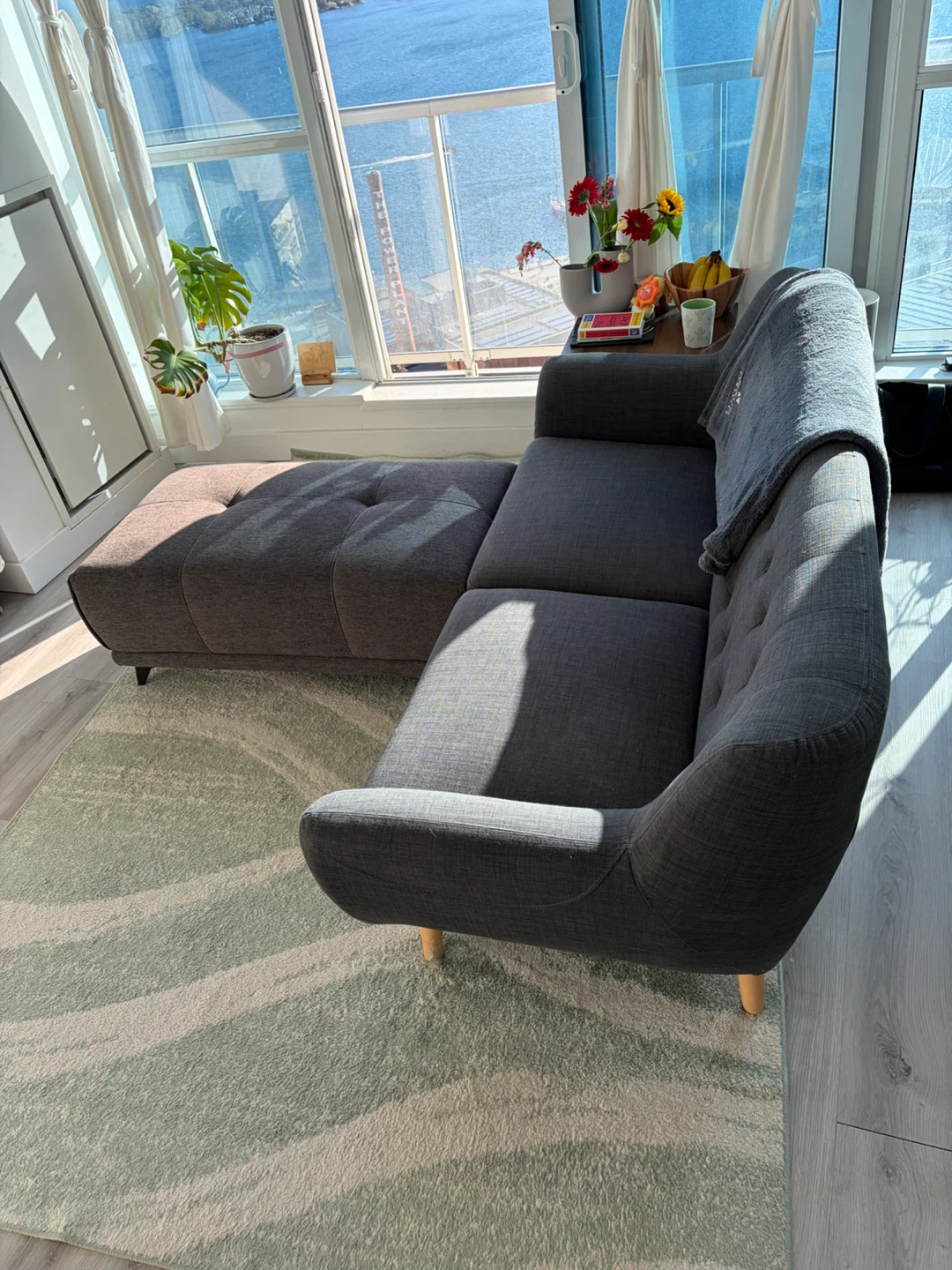 STRUCTUBE HALEY Sofa + Matching Ottoman – $350 OBO