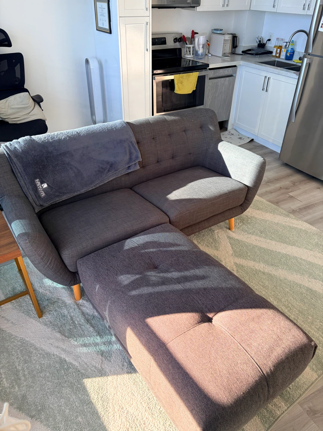 STRUCTUBE HALEY Sofa + Matching Ottoman – $350 OBO - photo 3
