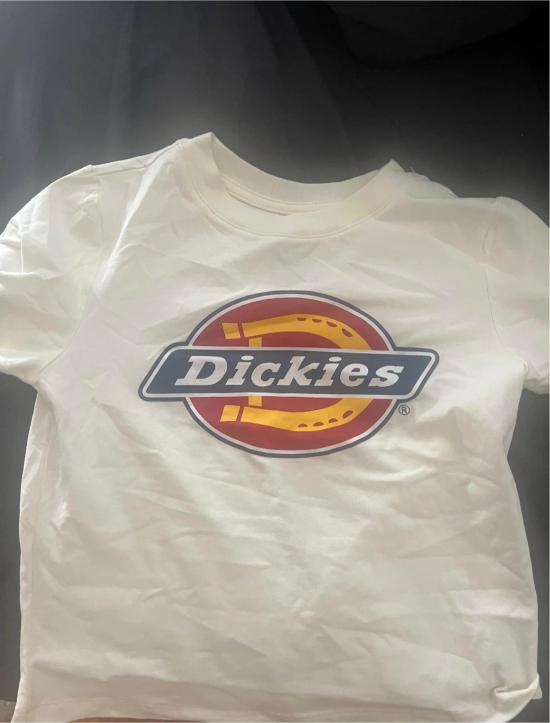 Dickies Logo T-Shirt White