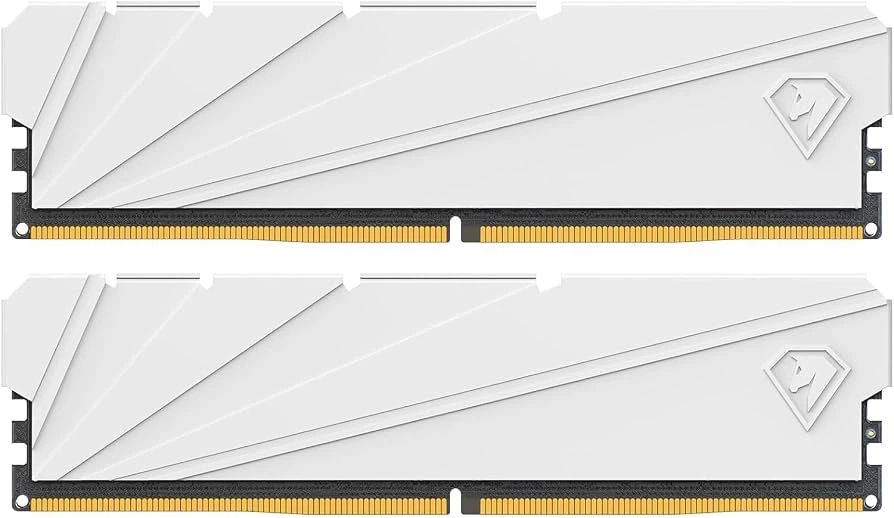 Netac 32GB DDR4 3200MHz RAM Kit
