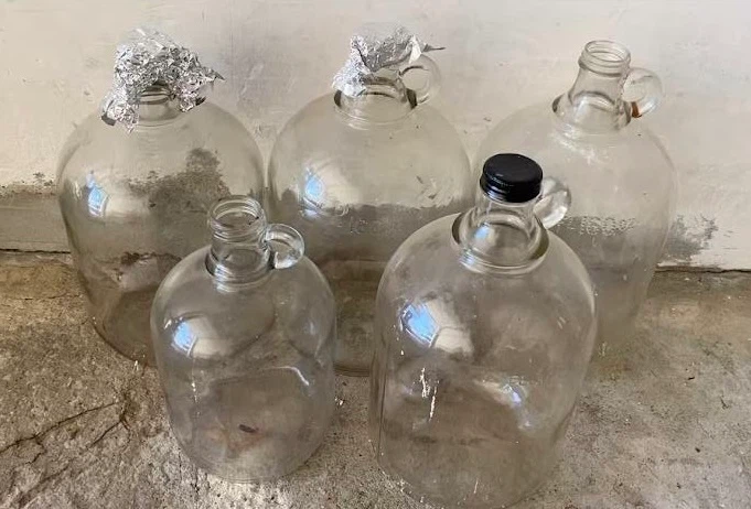 Vintage 1-Gallon Glass Jugs / Carboys – Made in Canada