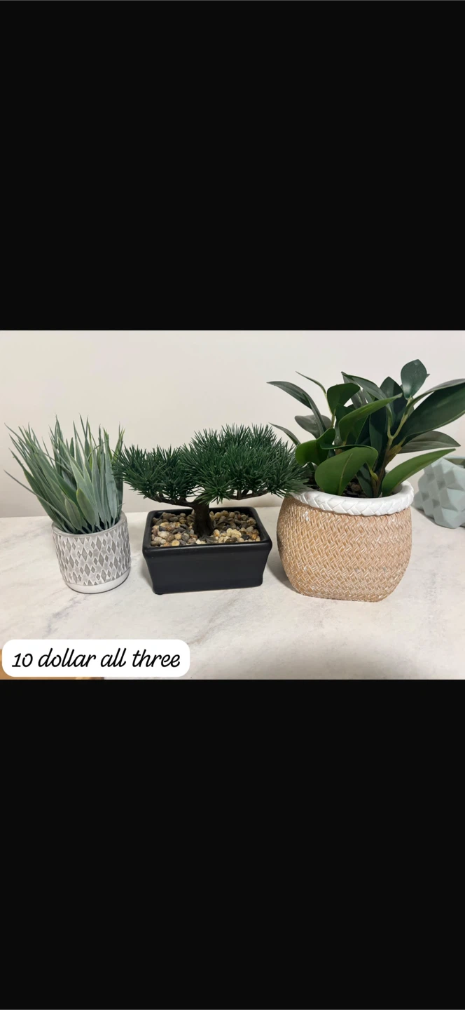 Assorted artificial plants and decorative pots