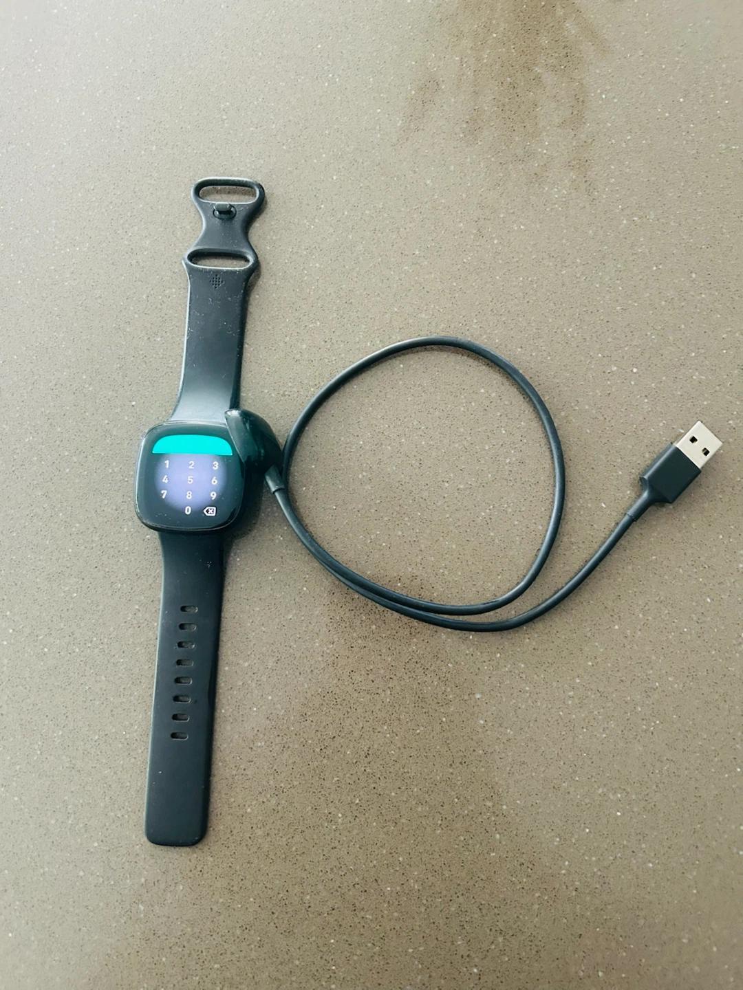 Fitbit Smartwatch with Charger - photo 2