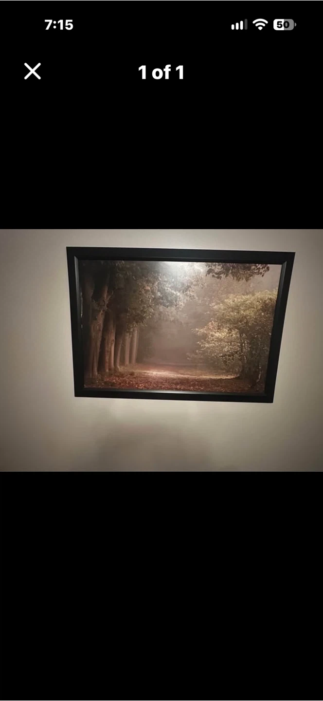 Framed Forest Landscape Wall Art