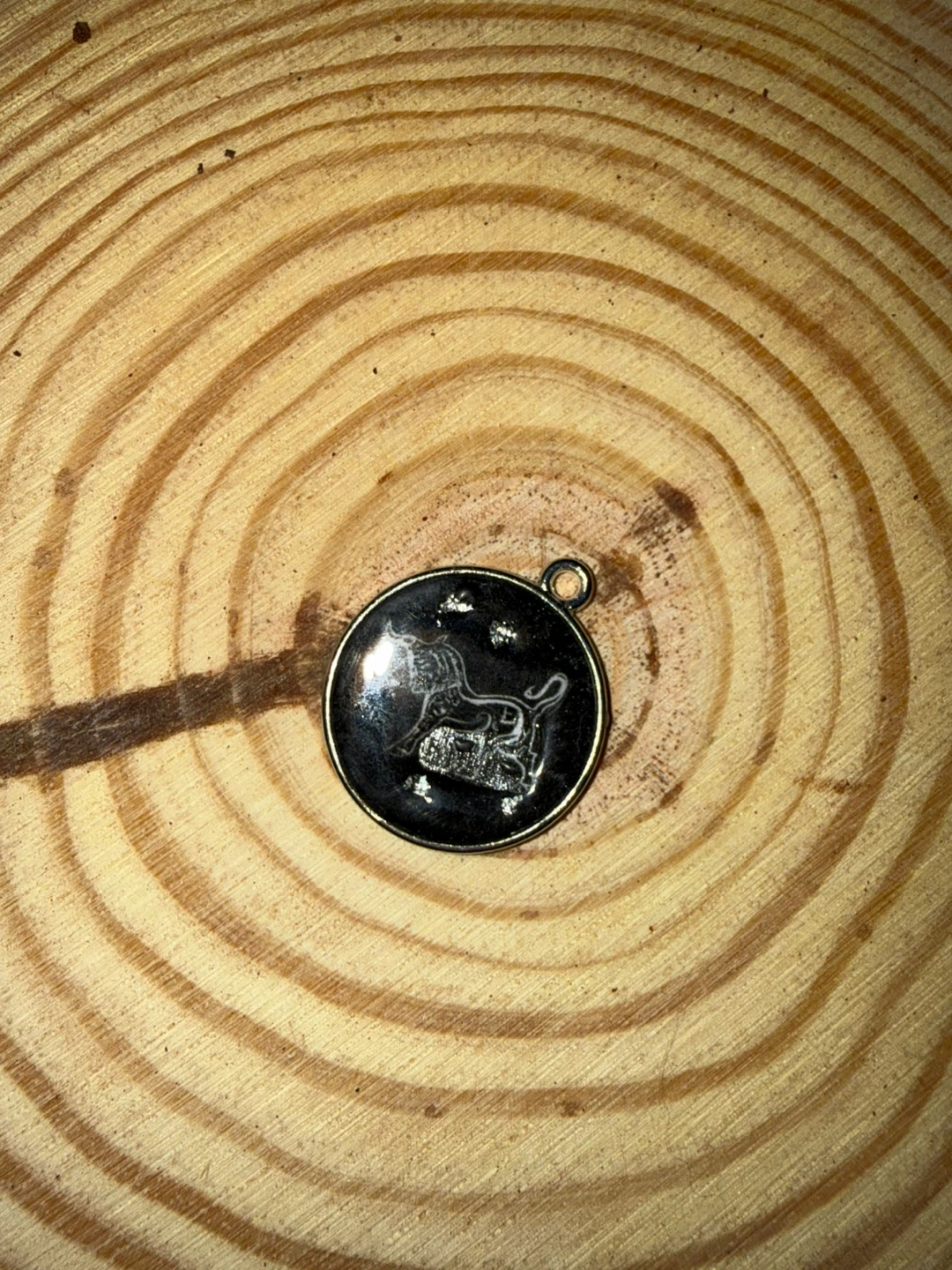 ایران               Iran inspired  UVResin Circle Charms - photo 4