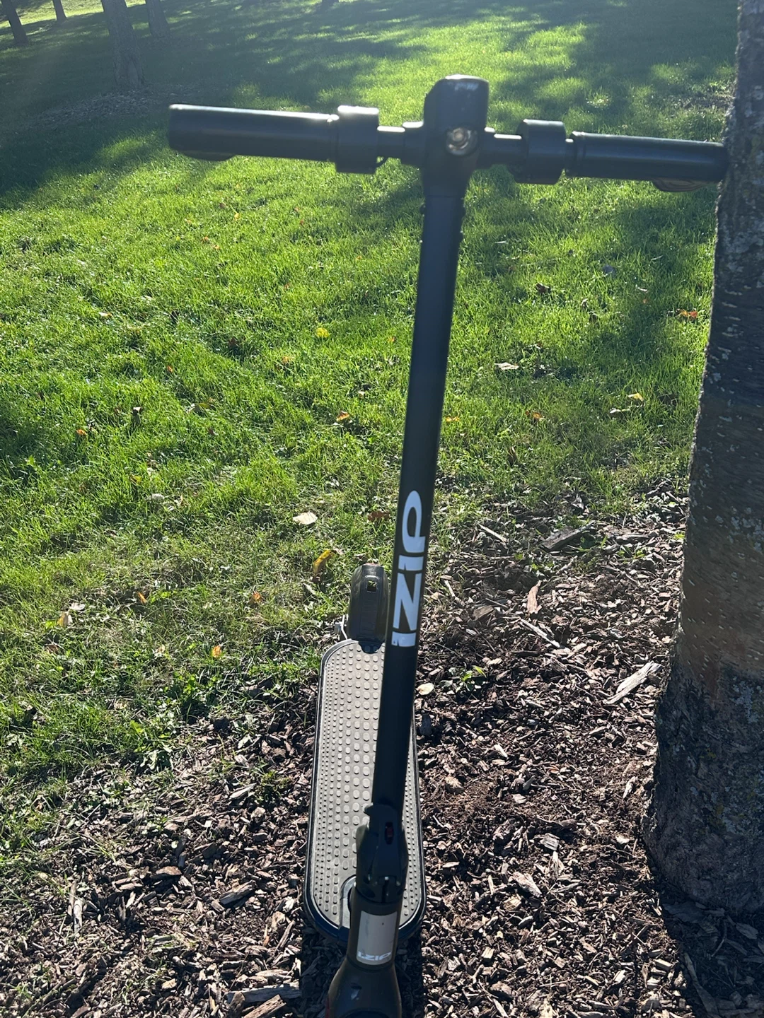 IZIP 250W Electric Scooter - photo 3