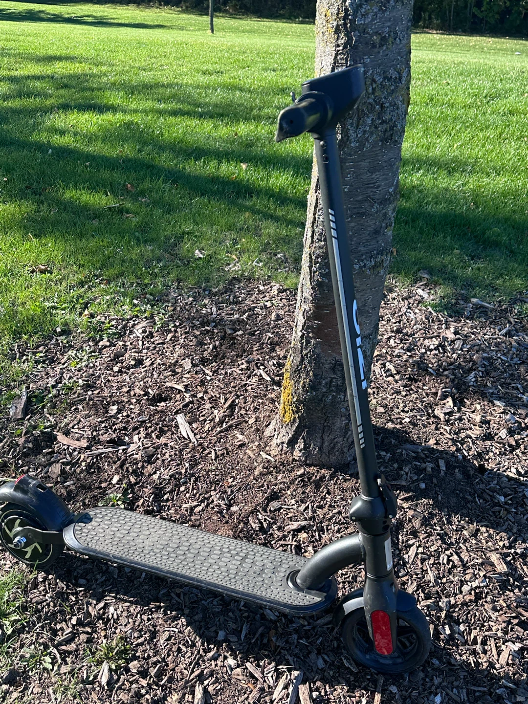 IZIP 250W Electric Scooter - photo 2