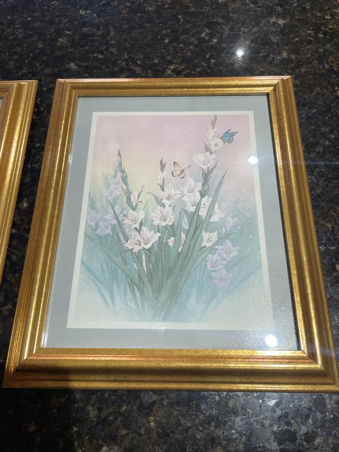 Set of Two Hummingbird and Butterfly Framed Prints