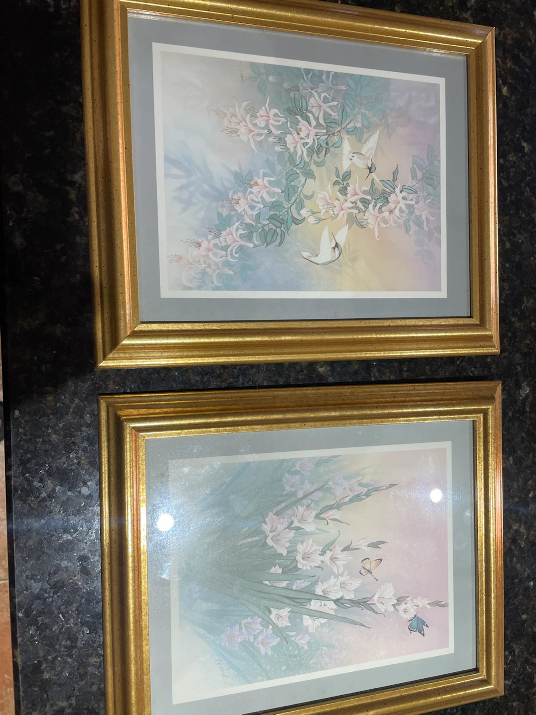 Set of Two Hummingbird and Butterfly Framed Prints - photo 3