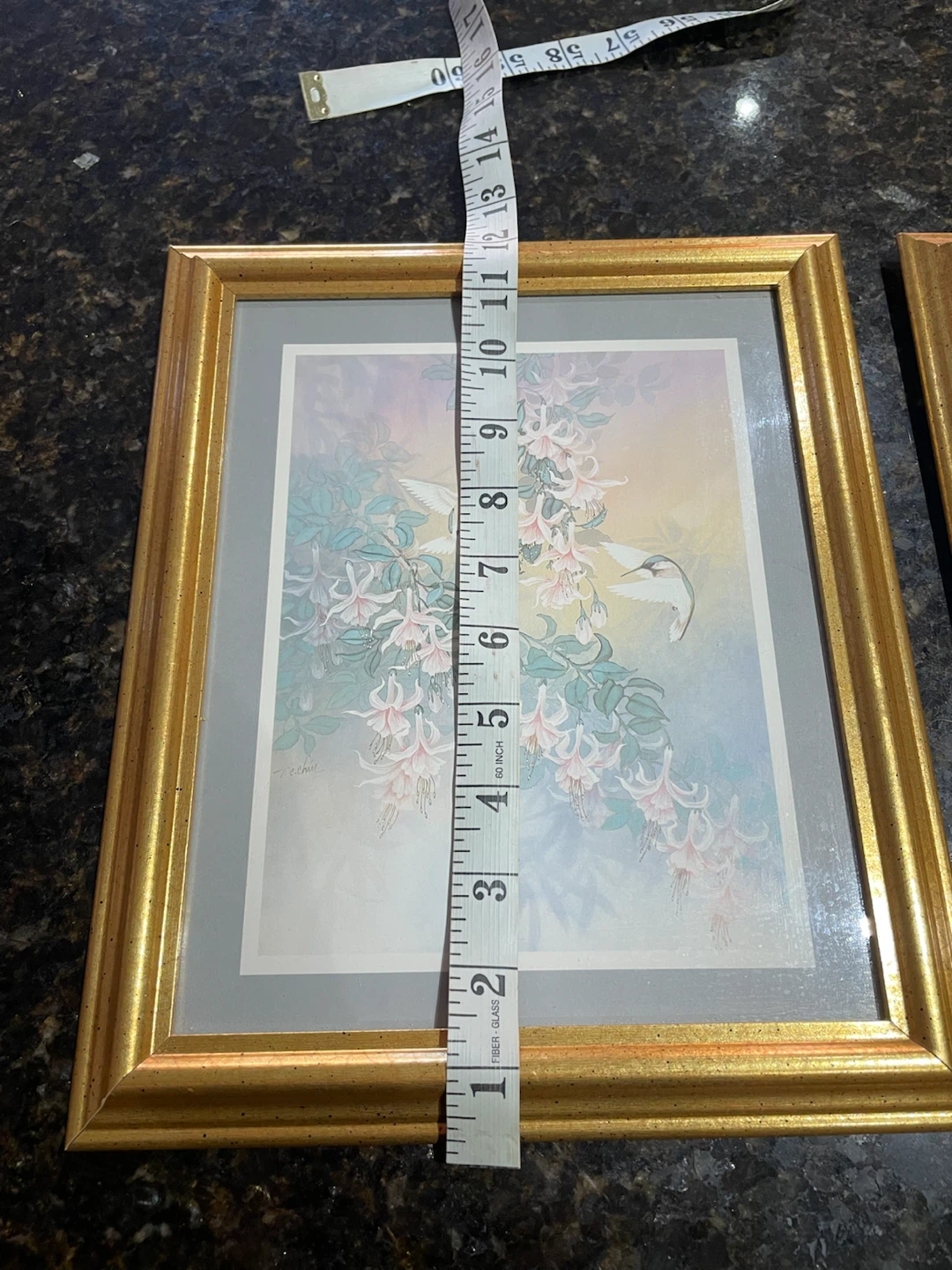 Set of Two Hummingbird and Butterfly Framed Prints - photo 5