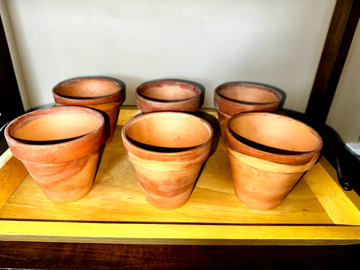 Set of 6 Terracotta Pots