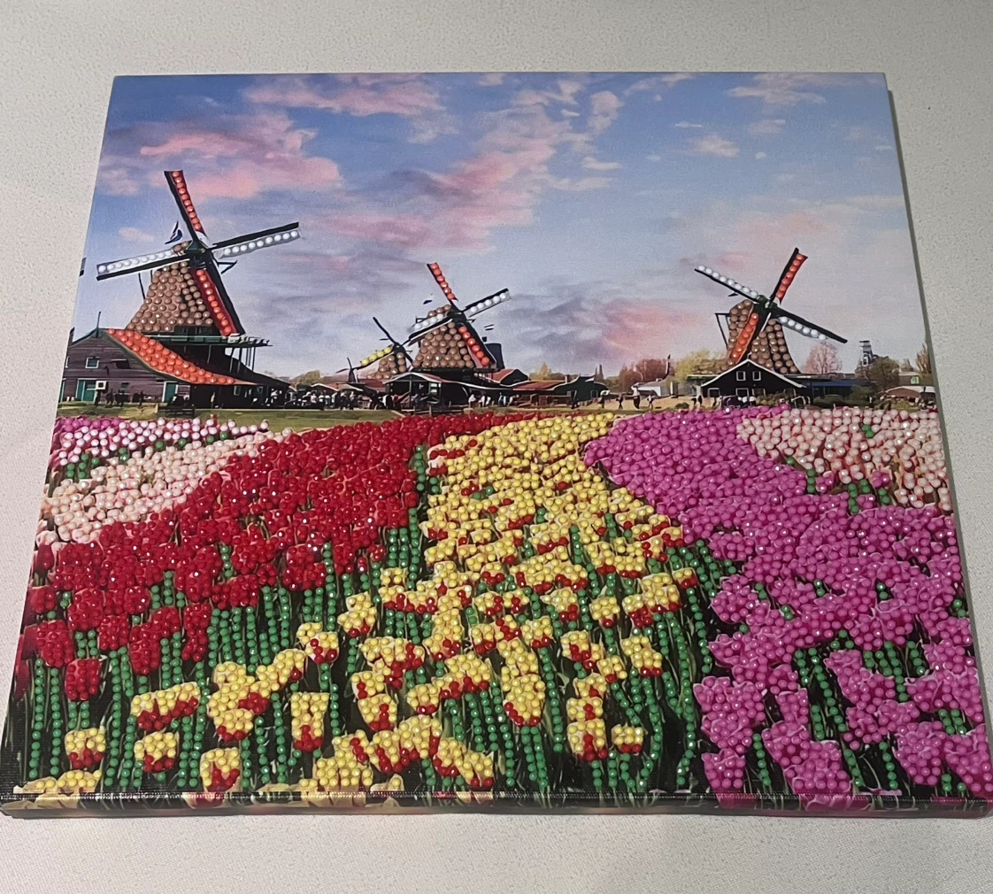 Diamond Paintings - photo 3