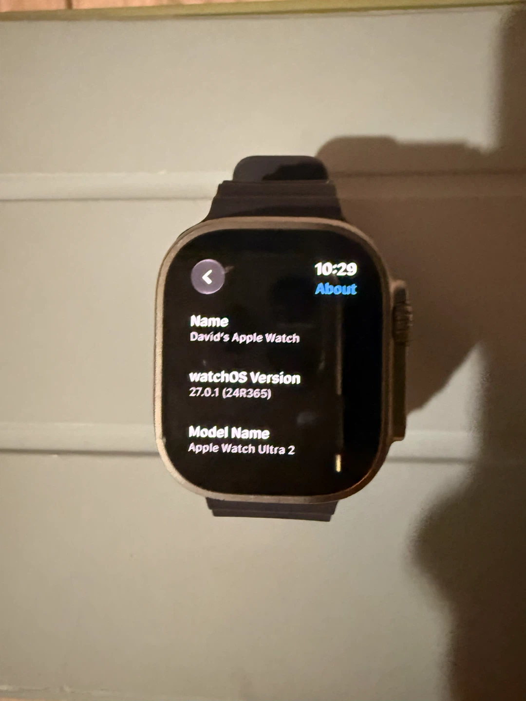Apple Watch Ultra 2 | Natural Titanium