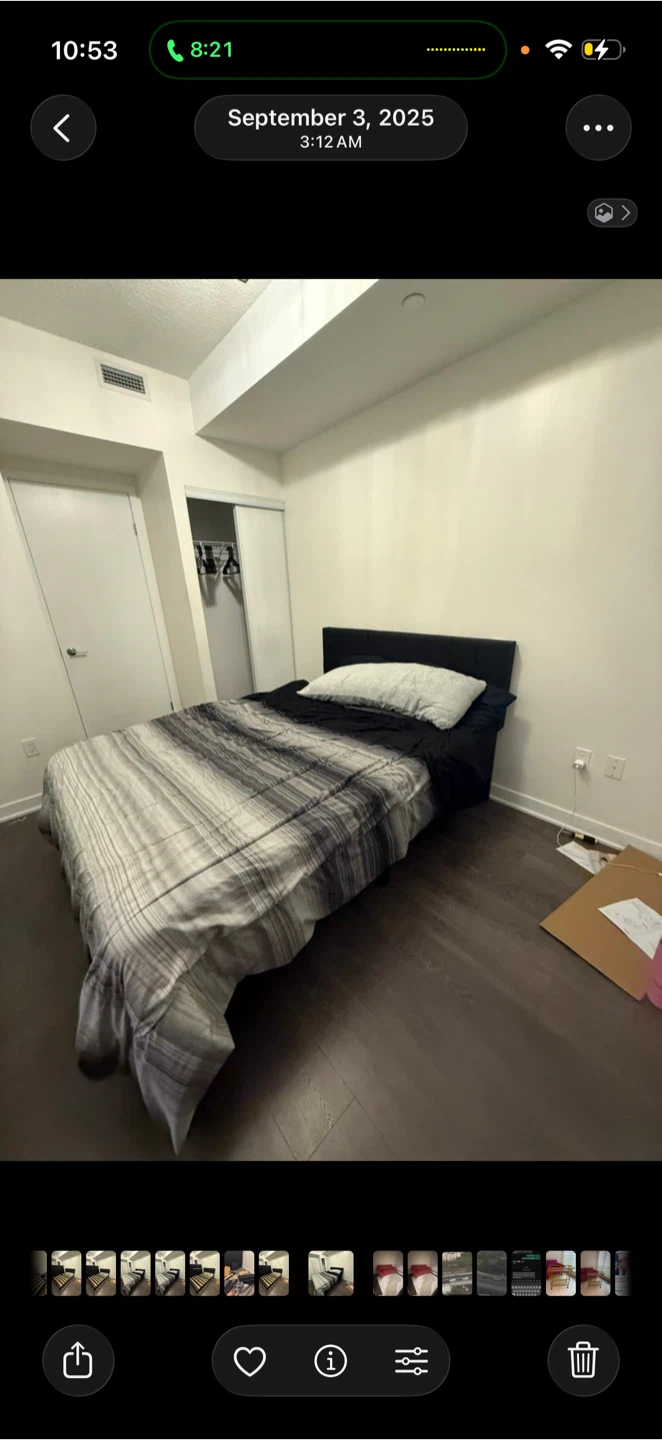 Bed