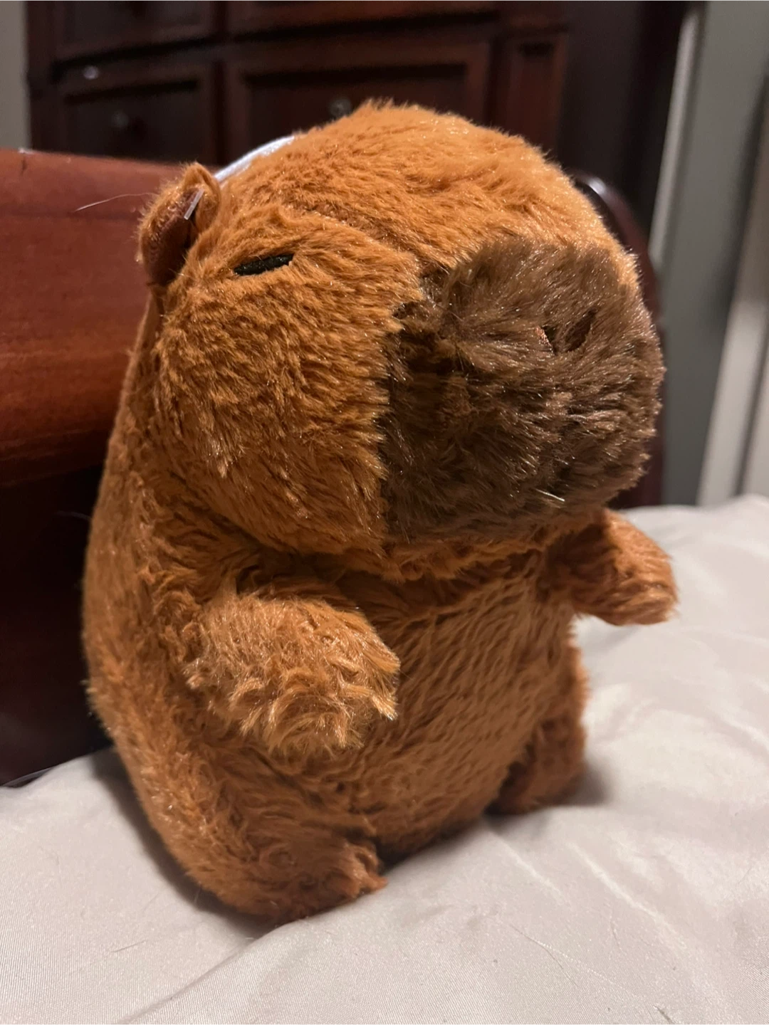 Plush Toy